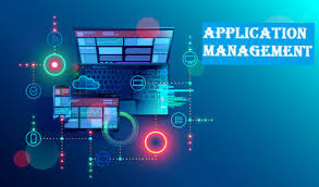 Client Application Management 1 month